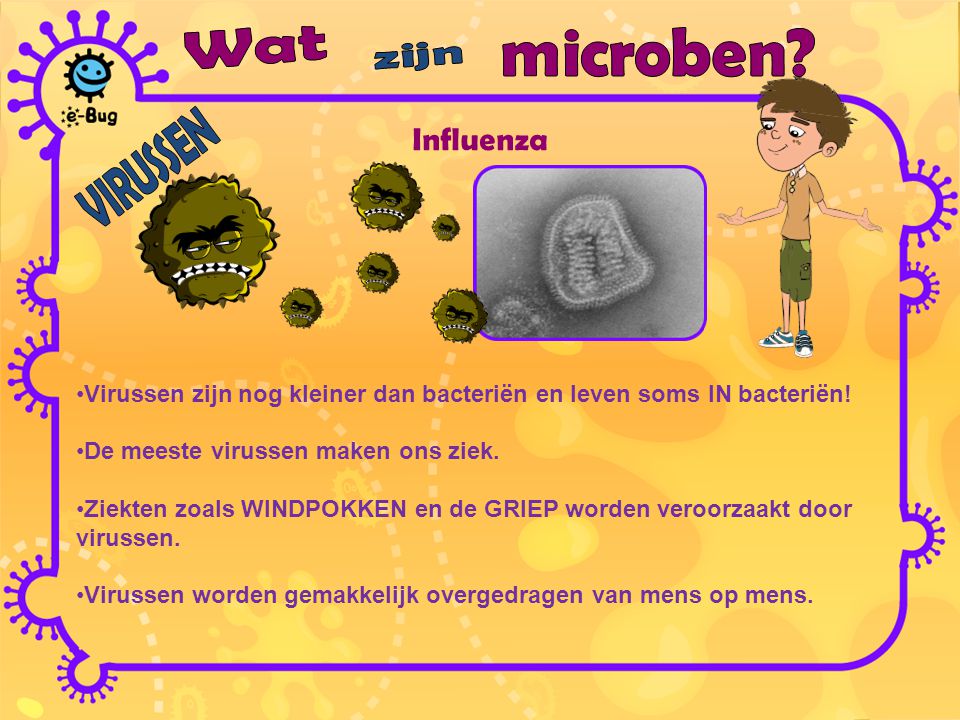 Influenza Wat microben zijn VIRUSSEN