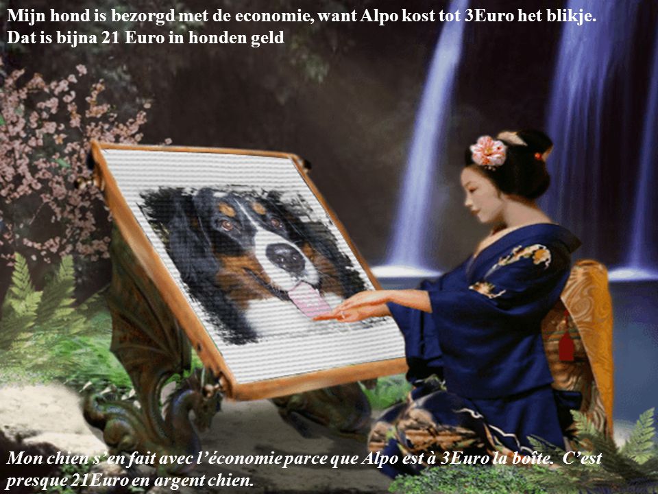 Mijn hond is bezorgd met de economie, want Alpo kost tot 3Euro het blikje. Dat is bijna 21 Euro in honden geld