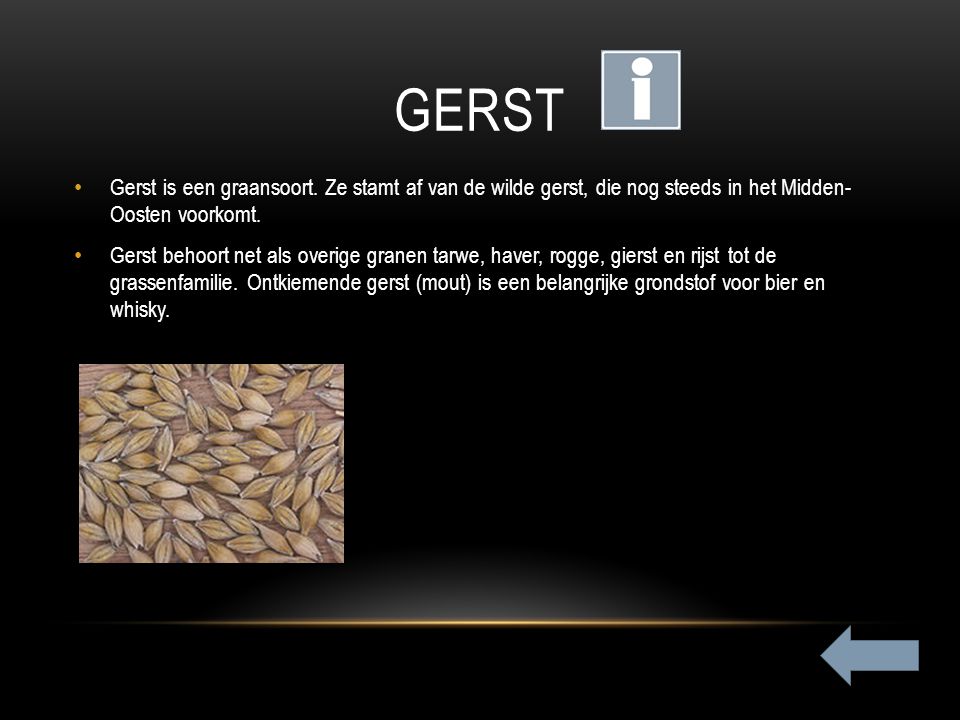 gerst Gerst is een graansoort. Ze stamt af van de wilde gerst, die nog steeds in het Midden- Oosten voorkomt.