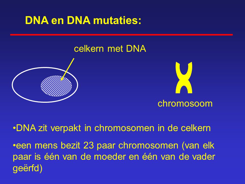 DNA en DNA mutaties: celkern met DNA chromosoom