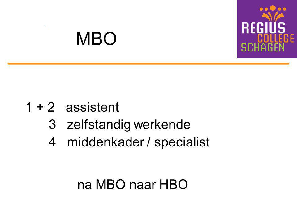 MBO na MBO naar HBO assistent 3 zelfstandig werkende