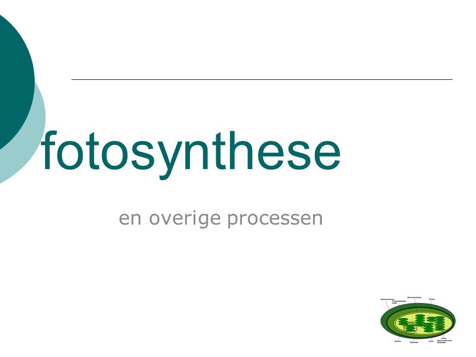fotosynthese en overige processen