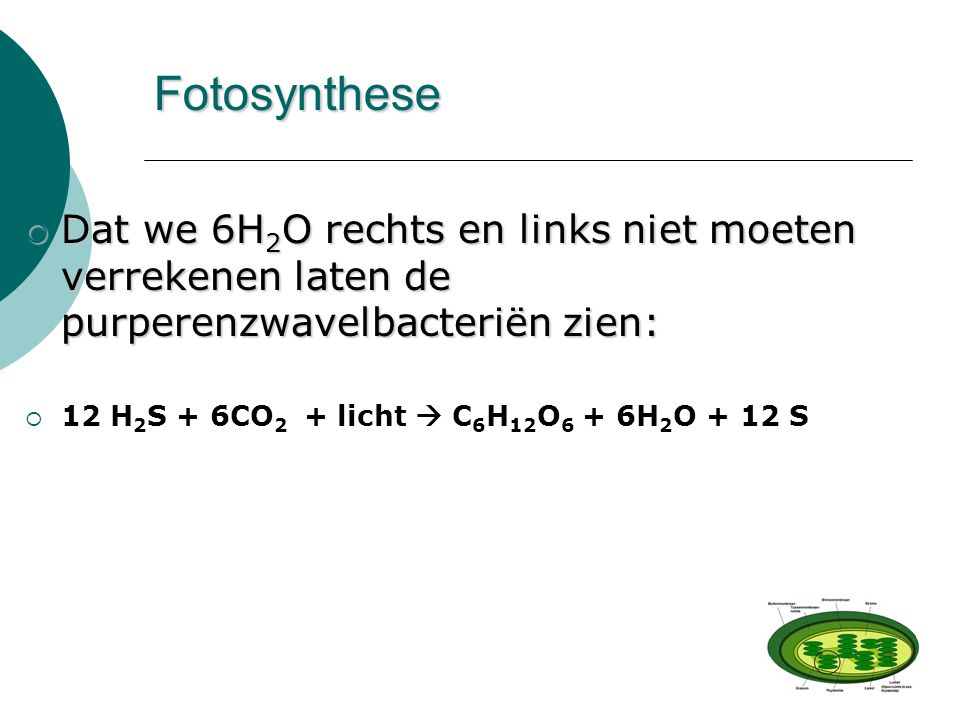 Fotosynthese Dat we 6H2O rechts en links niet moeten verrekenen laten de purperenzwavelbacteriën zien: