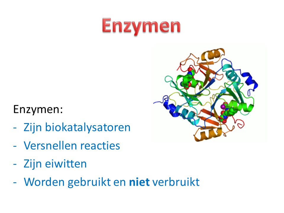 Enzymen Enzymen: Zijn biokatalysatoren Versnellen reacties