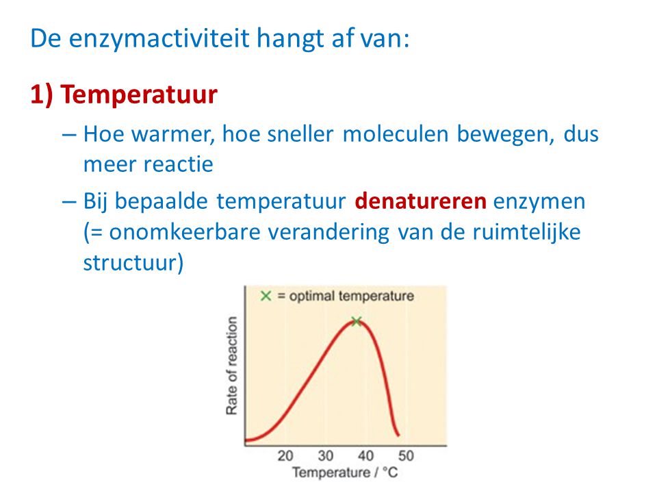 De enzymactiviteit hangt af van: 1) Temperatuur