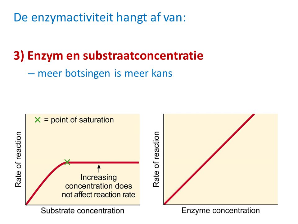 De enzymactiviteit hangt af van: 3) Enzym en substraatconcentratie