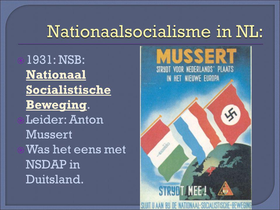 Nationaalsocialisme in NL: