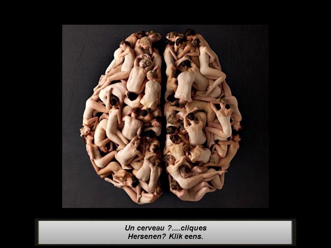 Un cerveau ....cliques Hersenen Klik eens.