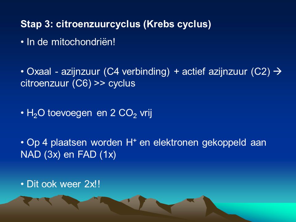 Stap 3: citroenzuurcyclus (Krebs cyclus)