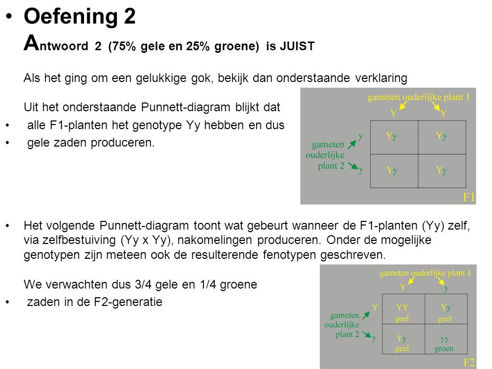 Oefening 2 Antwoord 2 (75% gele en 25% groene) is JUIST Als het ging om een gelukkige gok, bekijk dan onderstaande verklaring Uit het onderstaande Punnett-diagram blijkt dat