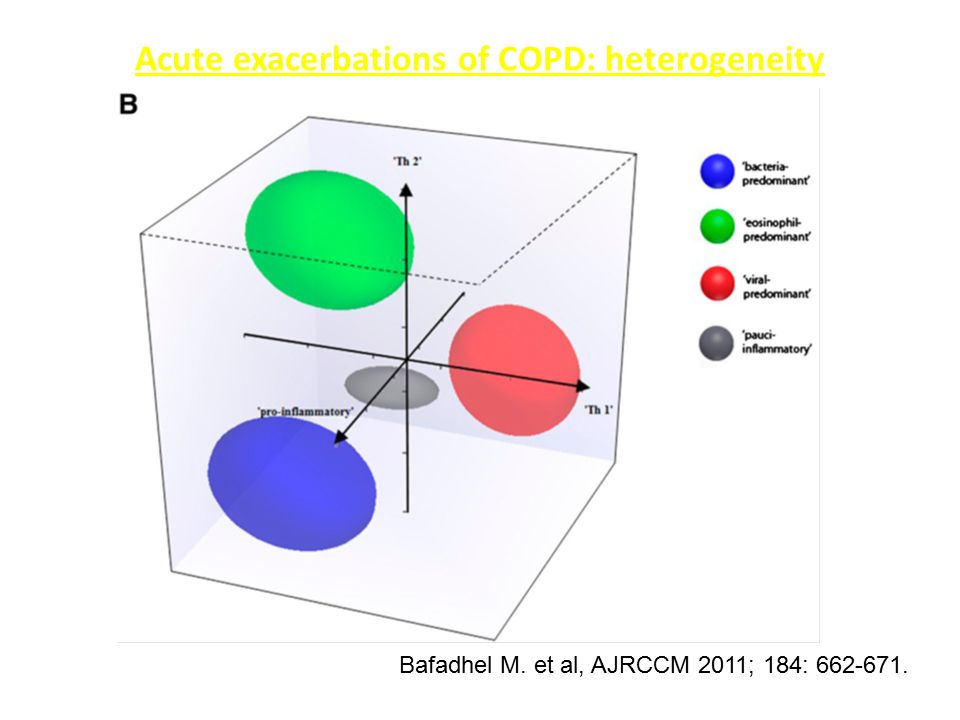 COPD: wat is er nieuw? V. Nowé. - ppt download