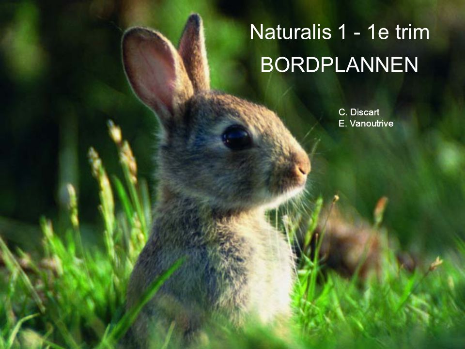 C. Discart E. Vanoutrive Naturalis 1 - 1e trim BORDPLANNEN