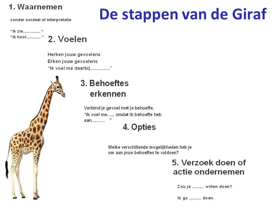 De stappen van de Giraf