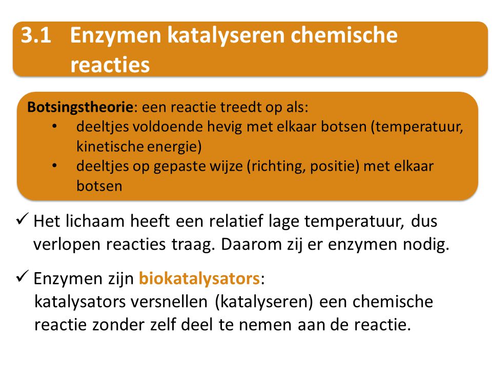 3.1 Enzymen katalyseren chemische reacties