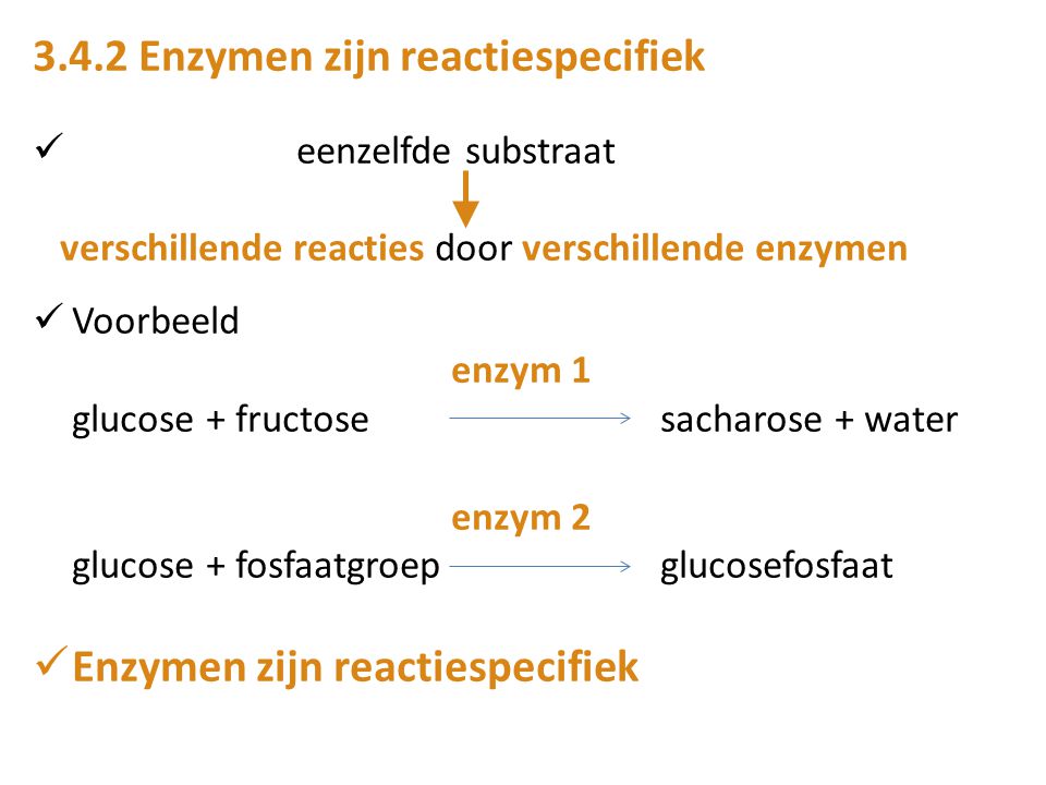 3.4.2 Enzymen zijn reactiespecifiek
