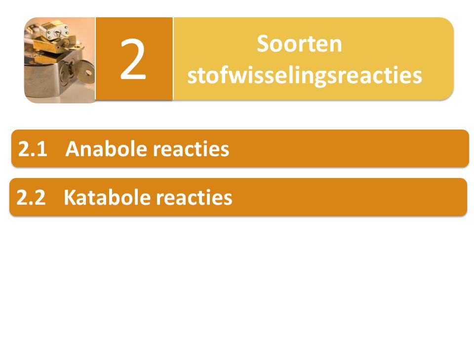 2 stofwisselingsreacties 2.1 Anabole reacties 2.2 Katabole reacties