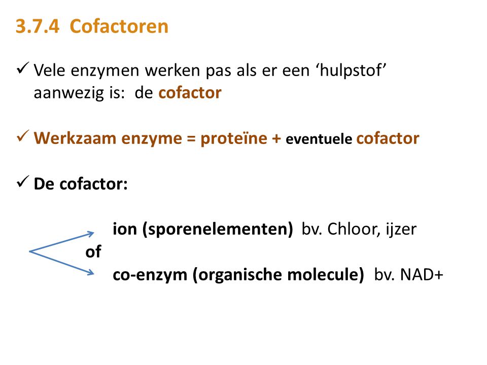 3.7.4 Cofactoren Vele enzymen werken pas als er een ‘hulpstof’ aanwezig is: de cofactor. Werkzaam enzyme = proteïne + eventuele cofactor.