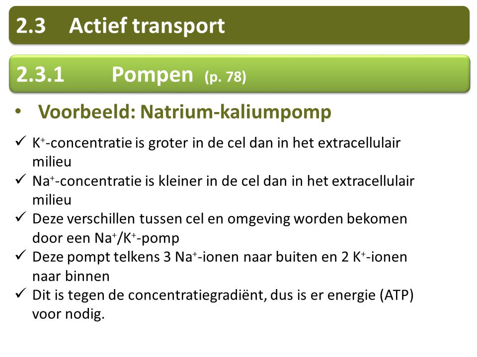 2.3 Actief transport Pompen (p. 78)