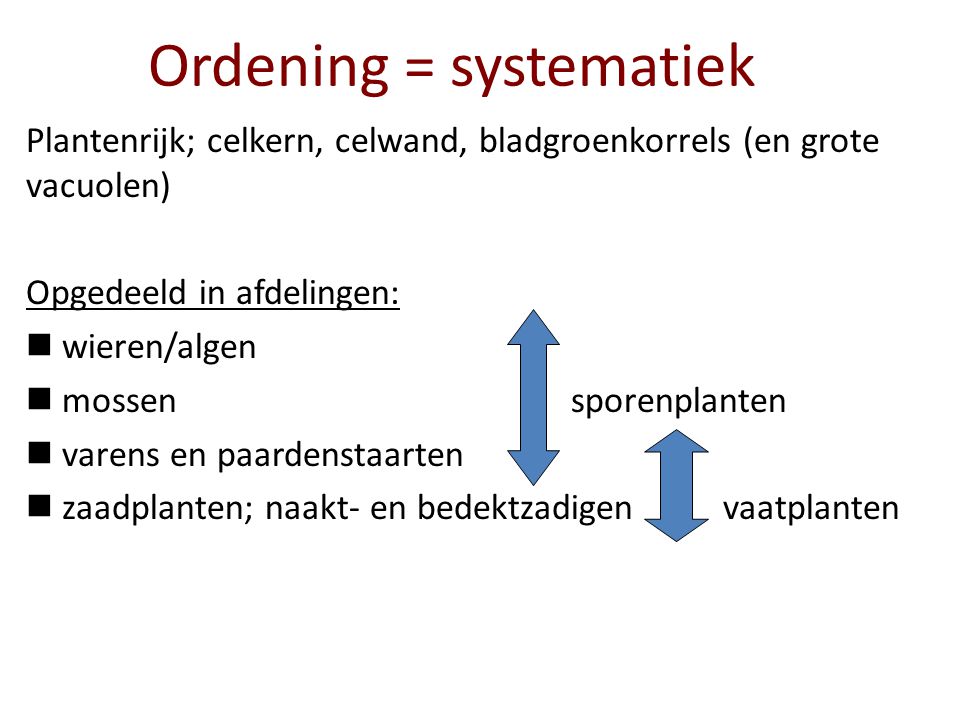 Ordening = systematiek