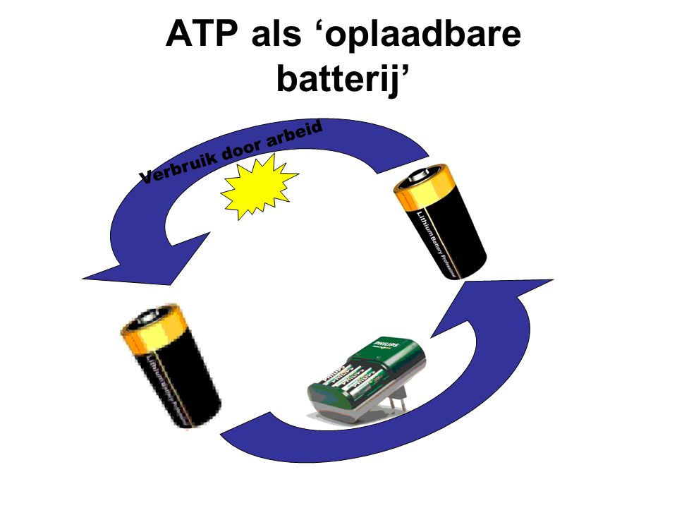 ATP als ‘oplaadbare batterij’