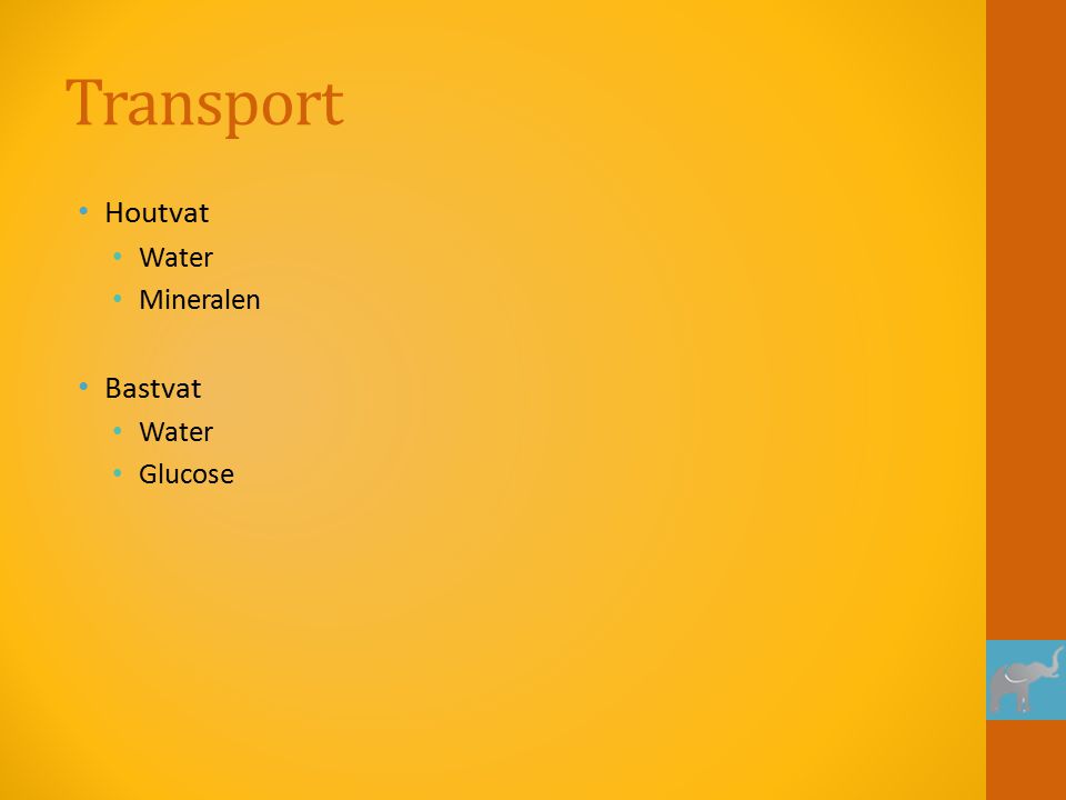 Transport Houtvat Water Mineralen Bastvat Glucose