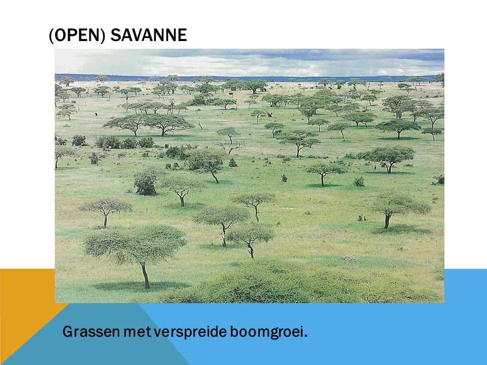 (open) savanne Grassen met verspreide boomgroei.