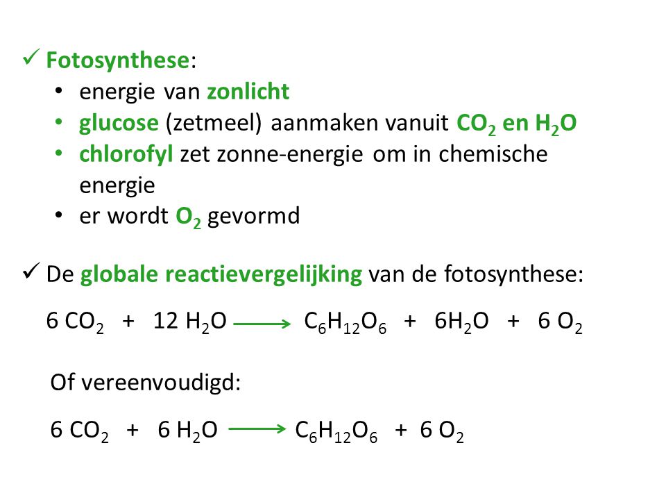 Fotosynthese: energie van zonlicht. glucose (zetmeel) aanmaken vanuit CO2 en H2O. chlorofyl zet zonne-energie om in chemische energie.