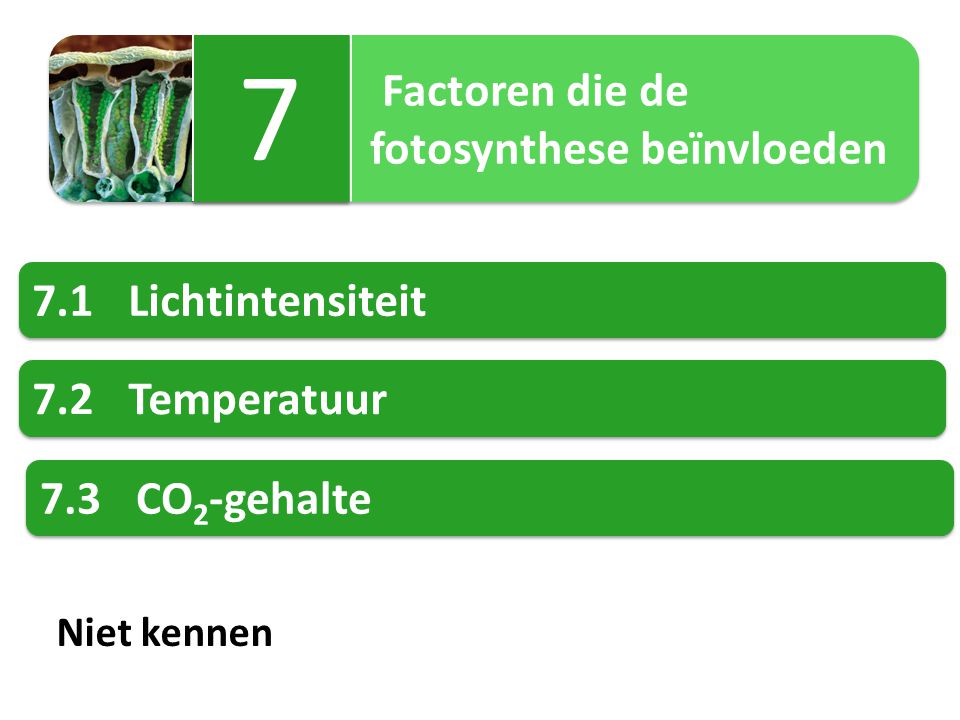 7 fotosynthese beïnvloeden 7.1 Lichtintensiteit 7.2 Temperatuur