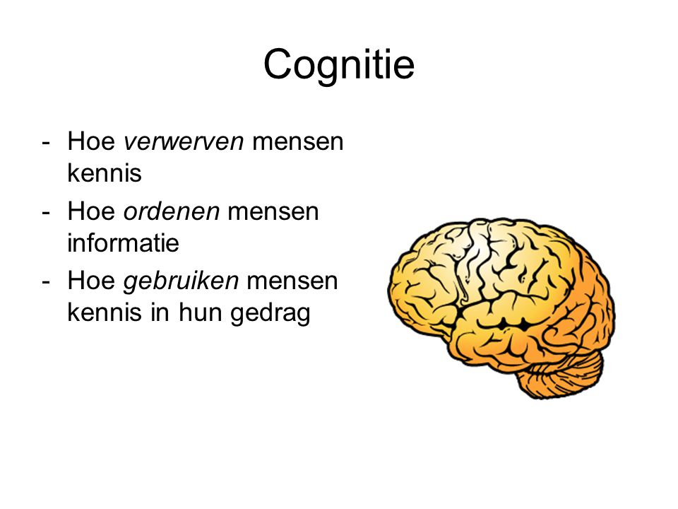 Cognitie Hoe verwerven mensen kennis Hoe ordenen mensen informatie