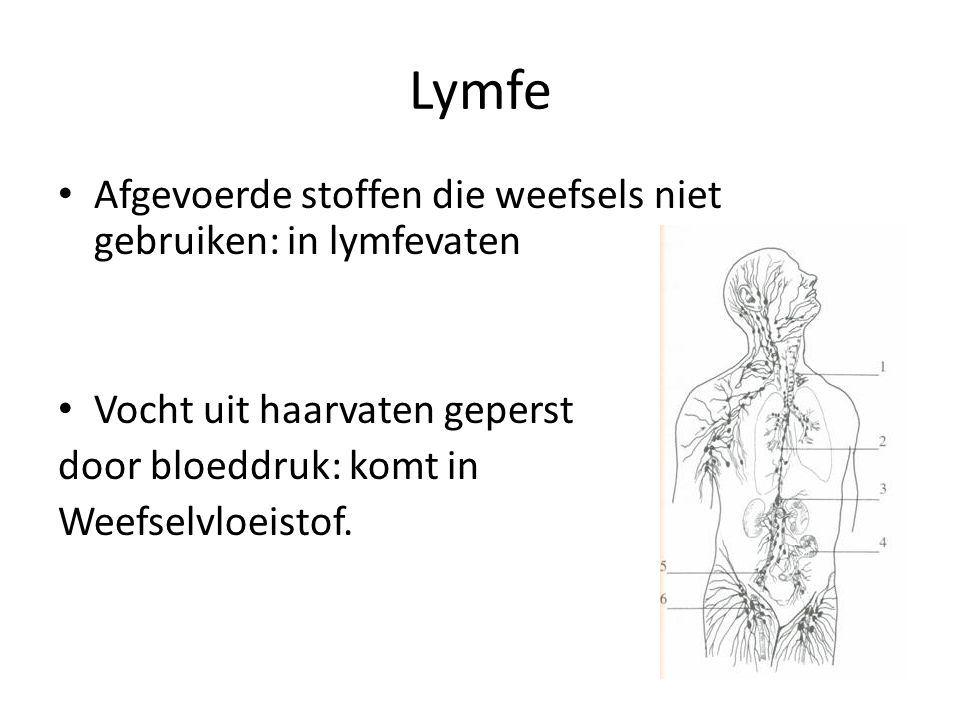 Lymfe Afgevoerde stoffen die weefsels niet gebruiken: in lymfevaten
