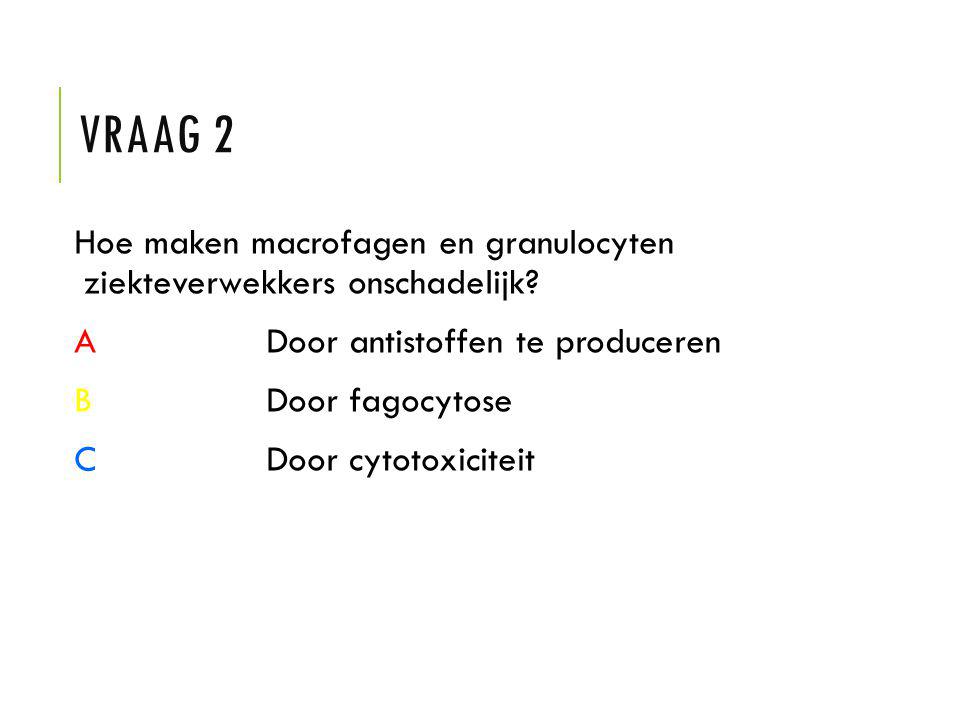 Vraag 2 Hoe maken macrofagen en granulocyten ziekteverwekkers onschadelijk A Door antistoffen te produceren.