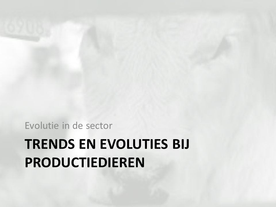 Trends en evoluties bij productiedieren