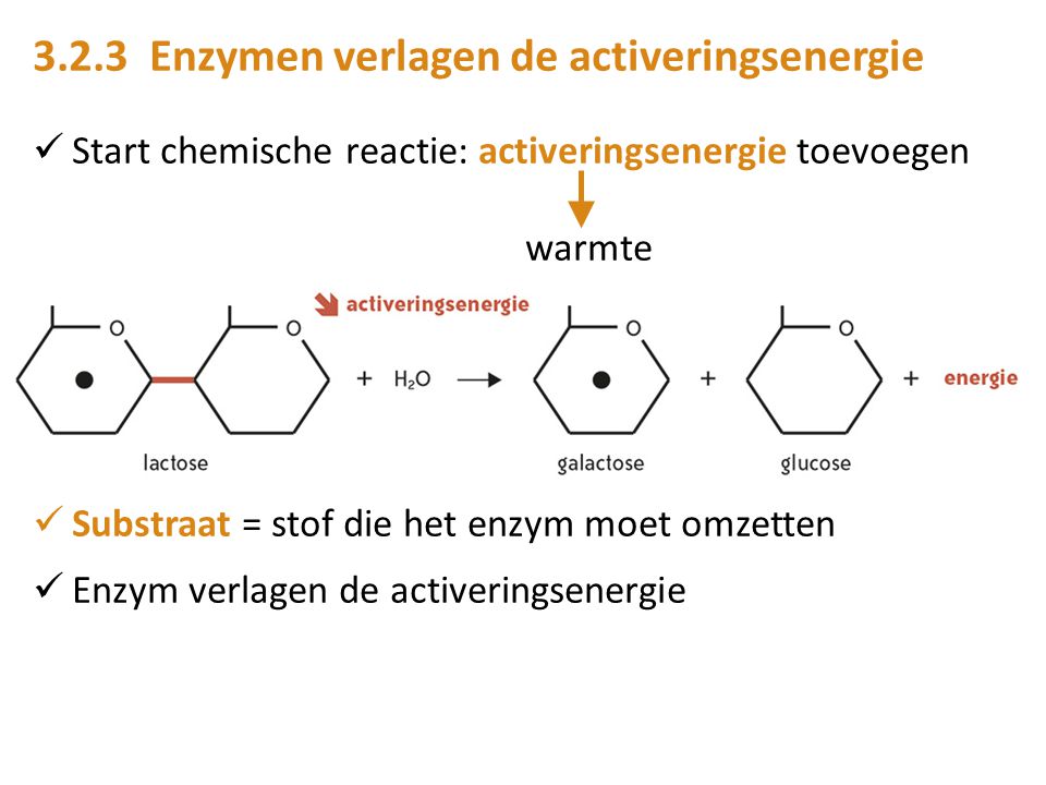 3.2.3 Enzymen verlagen de activeringsenergie