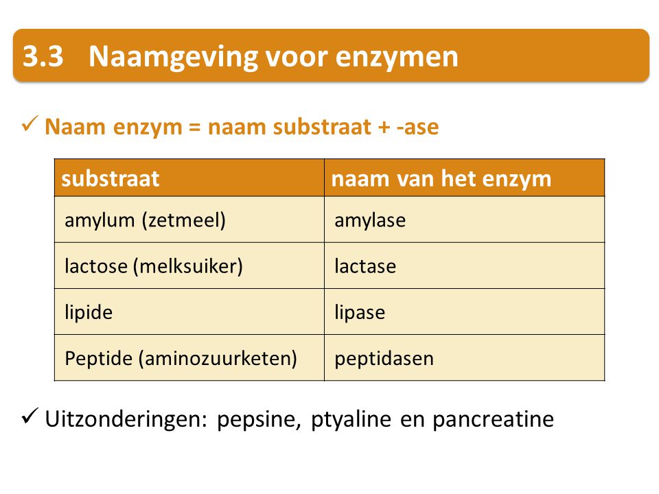 3.3 Naamgeving voor enzymen