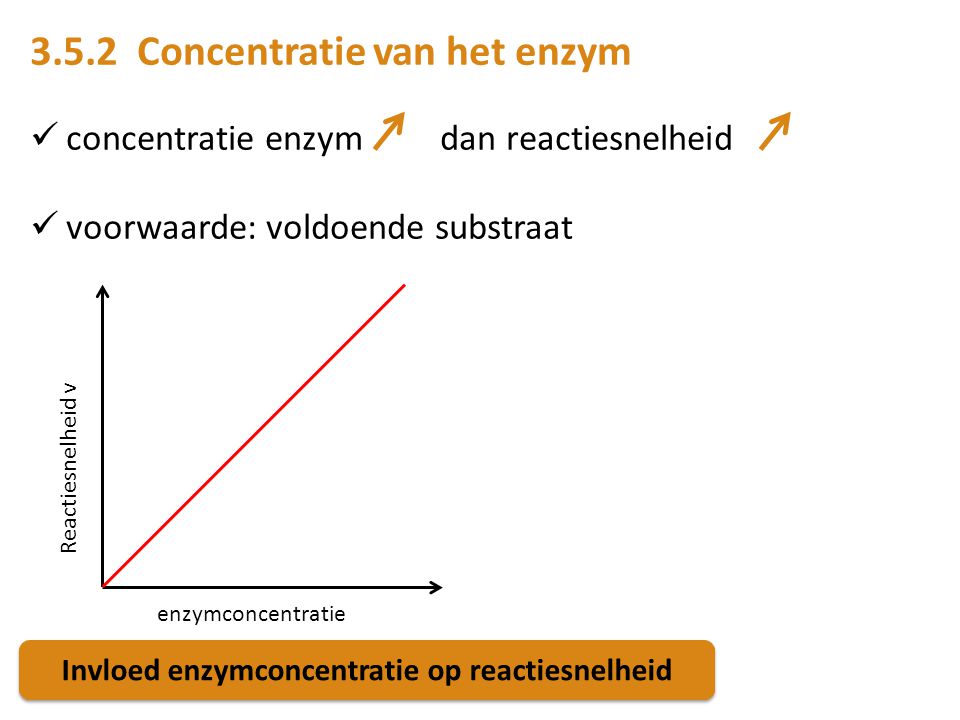 Invloed enzymconcentratie op reactiesnelheid