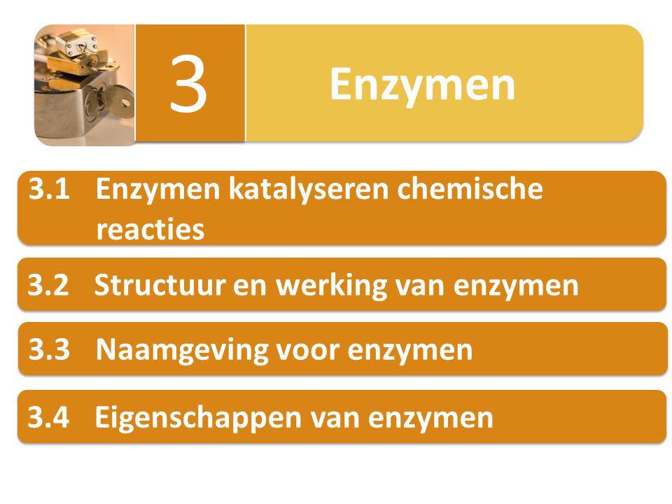 3 3.1 Enzymen katalyseren chemische reacties