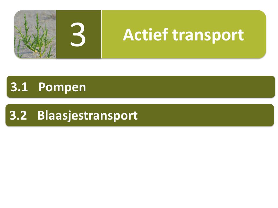 Actief transport Pompen 3.2 Blaasjestransport