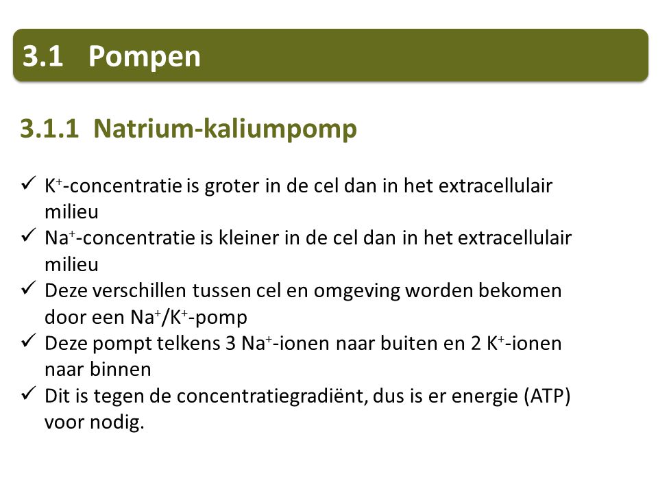 3.1 Pompen Natrium-kaliumpomp