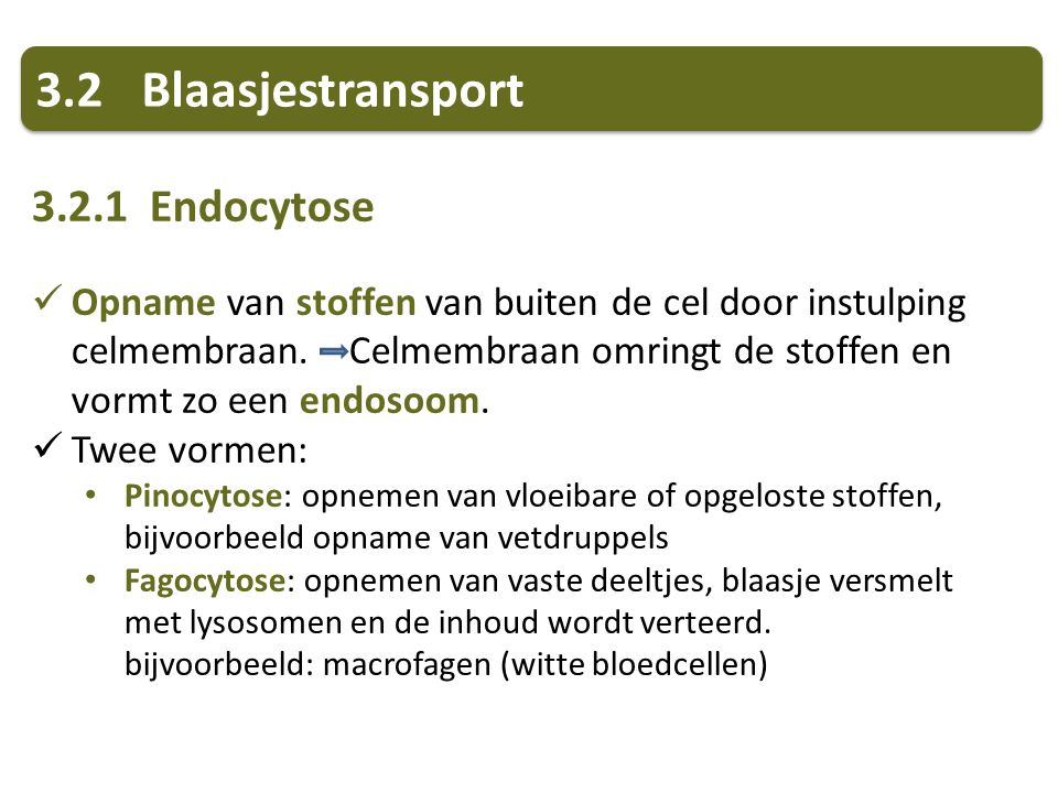3.2 Blaasjestransport Endocytose