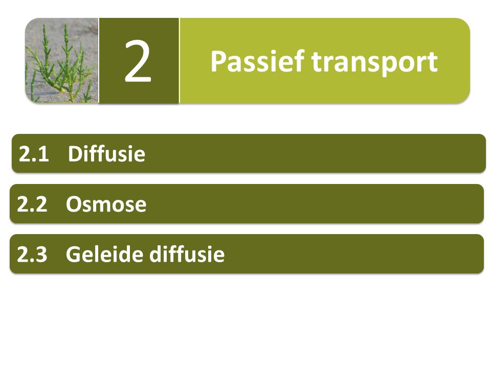 Passief transport Diffusie 2.2 Osmose 2.3 Geleide diffusie