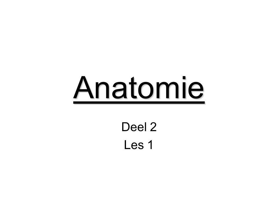 Anatomie Deel 2 Les 1