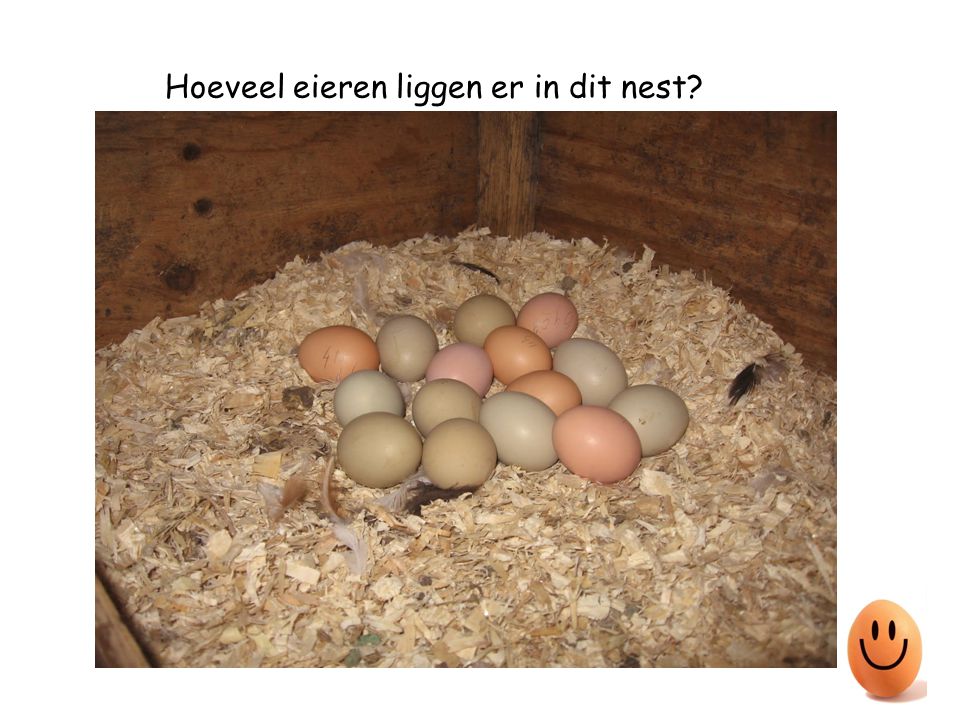 Hoeveel eieren liggen er in dit nest