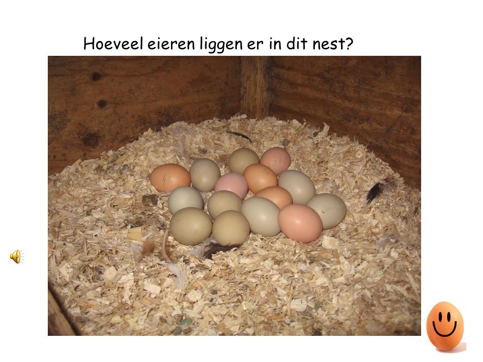 Hoeveel eieren liggen er in dit nest