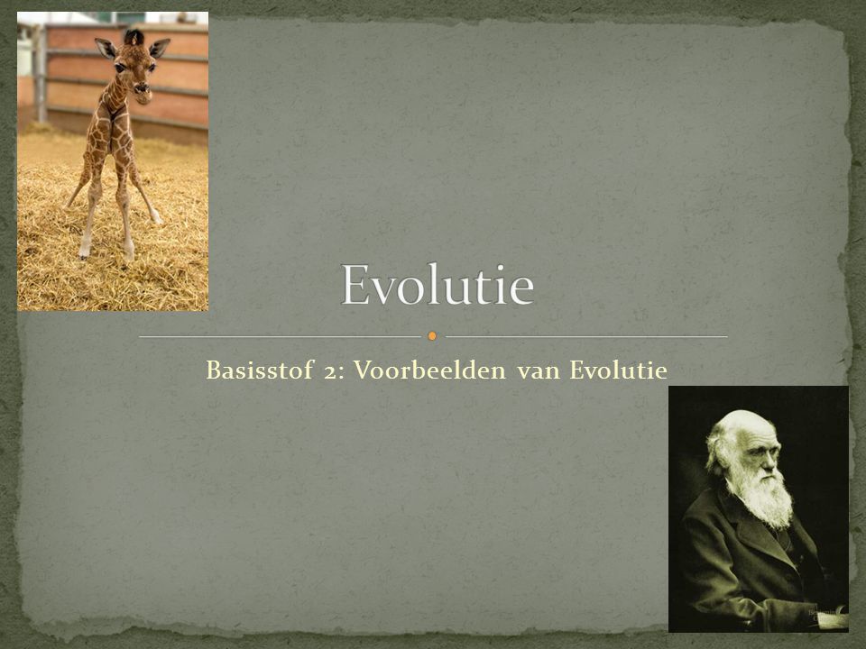 Basisstof 2: Voorbeelden van Evolutie