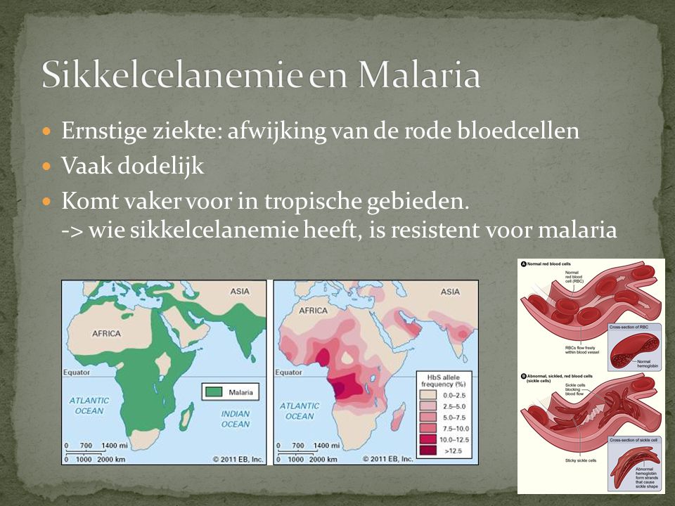 Sikkelcelanemie en Malaria