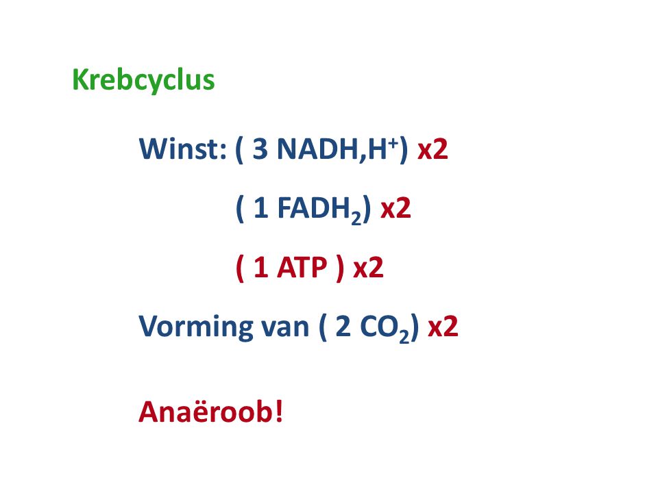 Krebcyclus Winst: ( 3 NADH,H+) x2 ( 1 FADH2) x2 ( 1 ATP ) x2 Vorming van ( 2 CO2) x2 Anaëroob!