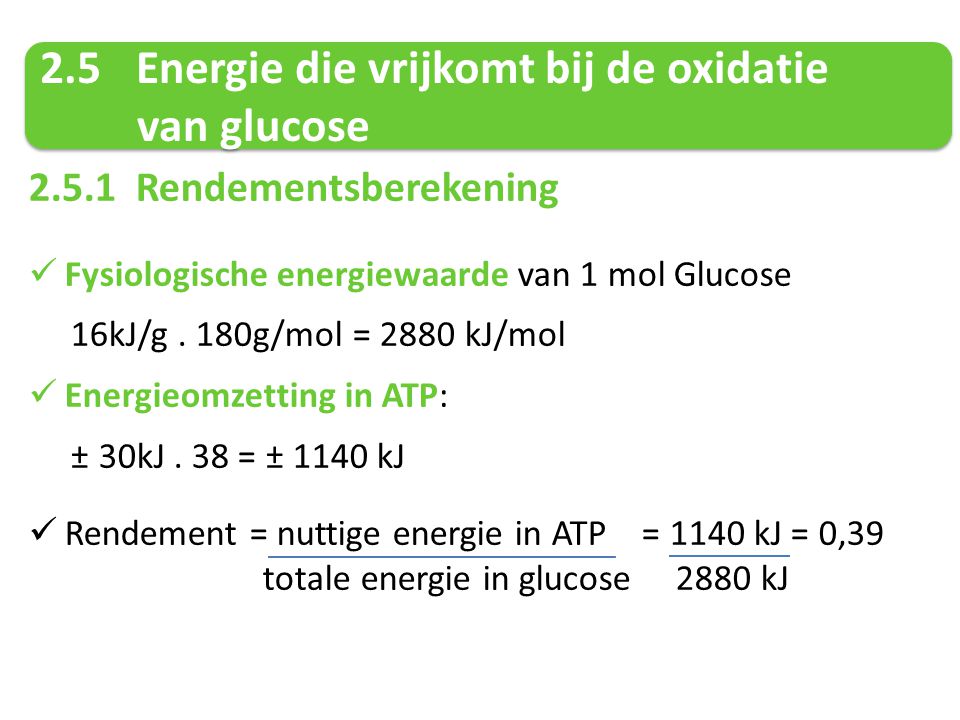 2.5 Energie die vrijkomt bij de oxidatie van glucose