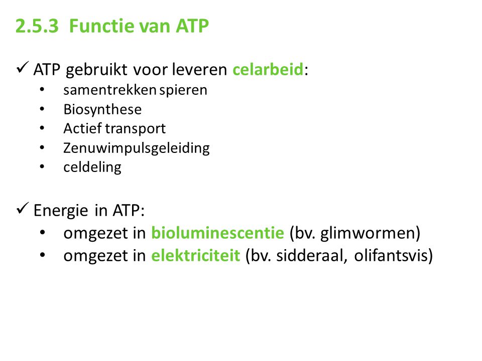 2.5.3 Functie van ATP ATP gebruikt voor leveren celarbeid: