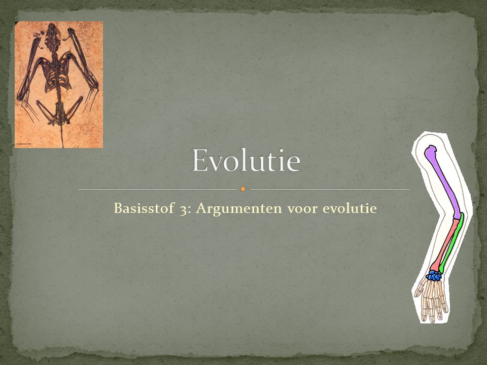 Basisstof 3: Argumenten voor evolutie