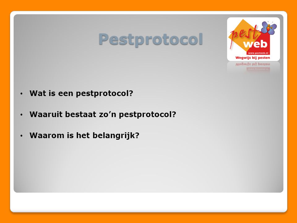Pestprotocol Wat is een pestprotocol